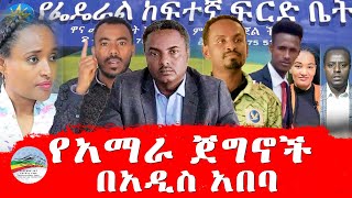 የአማራ ጀግኖች በአዲስ አበባ  ህዳር 6 ቀን 2017 ዓም [upl. by Annenn]