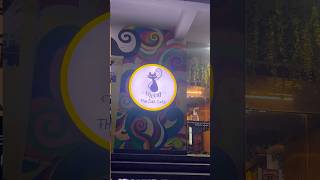 Visited Meow the cat cafe  Raipur 🐱🐈 catslovers shortsvideos [upl. by Codee]