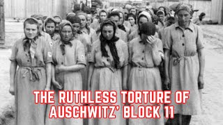 The RUTHLESS Torture Of Auschwitz Block 11 [upl. by Callum972]