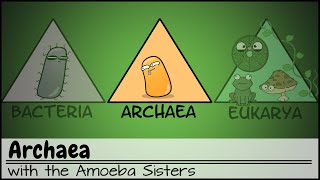 Archaea [upl. by Trebleht351]