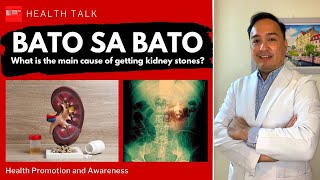 Kidney stones Bato sa Bato Causes Symptoms and Prevention [upl. by Reena]