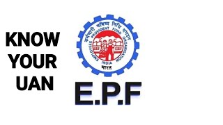 how to find uan at epfo siteepfo uan [upl. by Kaine568]