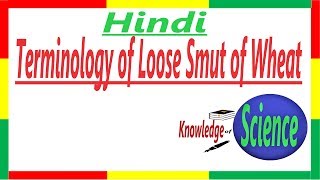 Terminology  Loose Smut of wheat  Plant Pathology  Hindi  PPP 1 [upl. by Marcell]