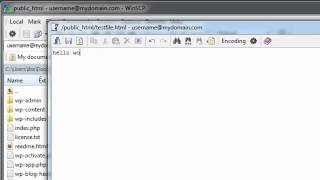 How to manage your files inside of WinSCP [upl. by Wulf908]