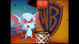 Kids WB Bumbers And IDs part 2 [upl. by Damien479]