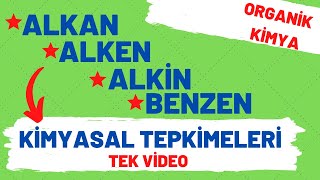 Alkan Alken Alkin ve Benzen Kimyasal Tepkimeleri  Organik Kimya Full Tekrar [upl. by Scharf]