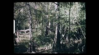 the quotBigfoot Film Oldest on Record from 1963 Louisianaquot video [upl. by Dahle]