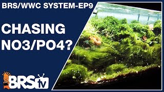 Ep9 Best nitrate and phosphate level for a reef tank   The BRSWWC System [upl. by Ban]