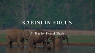 Kabini in Focus  A film by Kunal Shah  Evolve Back Kuruba Safari Lodge [upl. by Lerner]