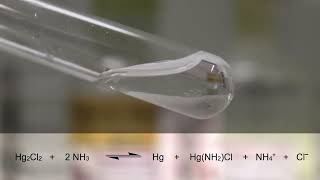 047NG Quecksilbersalz Lösung mit Ammoniak [upl. by Aronael]