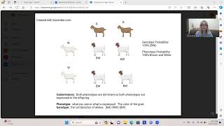 Codominance Video Tutorial [upl. by Asaert]