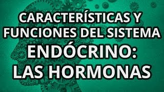 Sistema Endócrino  Principales Características y Funciones  Las hormonas [upl. by Sadler]