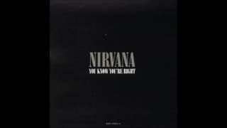 Nirvana  You Know Youre Right Vocals Only [upl. by Babara986]