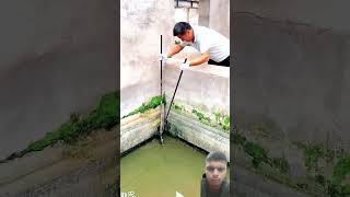 fishing crocodilian fish fishingtips foryou funny gymmotivan comedyfilms [upl. by Chico]