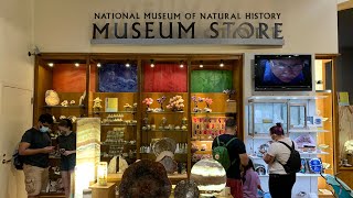 Smithsonian Natural History Museum Store in DC [upl. by Bruni959]