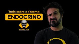 TUDO QUE VOCÊ PRECISA SABER SOBRE O SISTEMA ENDOCRINO [upl. by Adiela275]