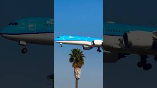 KLM Royal Dutch Airlines approaching runway aviation airbus planespotting boeing [upl. by Rabi246]