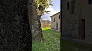 House for Sale Tuscany  Homes for Sale Italy shorts realestate [upl. by Merrick340]