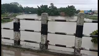 Hatkhola biratnagar flooded Biratnagar news update Todaylive flood in biratnagar viralheart [upl. by Marylin44]