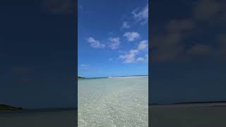 Worlds best sandbar Key West [upl. by Naesar]