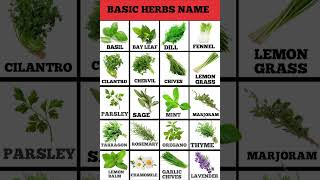 Basic herbs you should know  Types of herbs food short shortvideo [upl. by Eem]