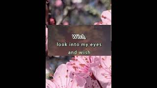 Wish karaoke with lyrics Donna Cruz [upl. by Gnoh]