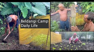 Beldangi Camp Life 2024 Update  Farming inside Beldangi Camp  करेसो बारीमा साग रोपेको [upl. by Beekman]