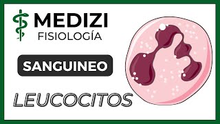 Clase 33 Fisiología Sanguínea  Leucocitos e Inflamación IGdoctorpaiva [upl. by Fitzgerald]