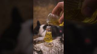 Great oil lamp diy outdoors bushcraft survival [upl. by Yelena]