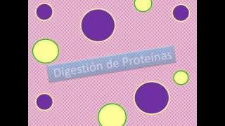 Digestión y absorción [upl. by Llebanna]