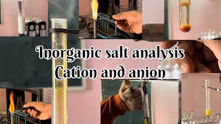 Inorganic salt analysis for one cation and one anion  Part B GSEB board exam  GSEB BOARD EXAM [upl. by Biddick]