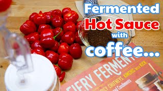 Fermented Coffee Hot Sauce [upl. by Assillim]