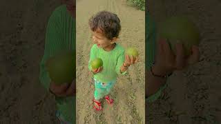 Farm house 🏡 shortsfeed song newsong music shortsfeed jaatni haryanvisong roots [upl. by Nere121]