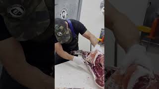 Removing the Deer Backstrap 🔪🦌 shorts deer venison backstrap butcher [upl. by Nitsuga929]