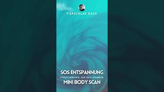 SOS Mini Bodyscan 1 Minute Soforthilfe zum Stressabbau  kurze Entspannungsübung SHORTS [upl. by Nailimixam]