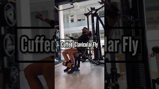 Cuffed Clavicular Fly exercisetips exercisetutorial upperchest [upl. by Lichter]