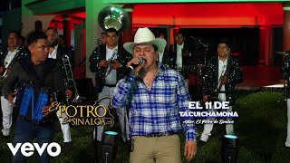 El Potro de Sinaloa  El 11 de Tacuichamona En Vivo Official [upl. by Sy297]