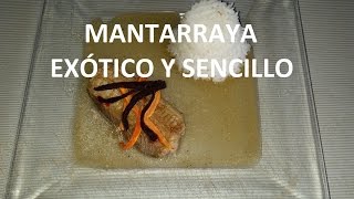 MANTARRAYA A LA NARANJA EXÓTICO  SAM EN LA COCINA [upl. by Komarek945]