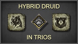 I ran hybrid druid in trios and got SAUCE [upl. by Aynat847]