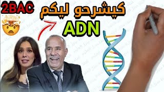 La nature de linformation génétique Partie 7 2BACSVTSPC طبيعة الخبر الوراثي ثانية بكالوريا [upl. by Akeme169]