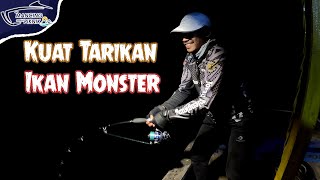 Sangat Kuat Tarikan Ikan Monster ini [upl. by Mapel]