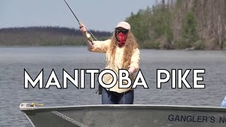 Manitoba Pike Fishing [upl. by Eidnahs319]