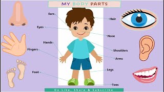 Kids vocabulary  Body  parts of the body  Learn English for kids  English educational video [upl. by Abagael]