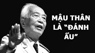 Võ Nguyên Giáp thừa nhận vụ Mậu Thân 1968 là quotđánh ẩuquot [upl. by Arlena]