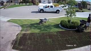 Organic Composted Manure on Lawn  Time Lapse  Central California  Amazing Results [upl. by Fairley]