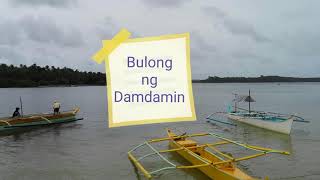 Bulong ng Damdamin by Marissa bisaya version Parody Sala ba diay [upl. by Schreibman]