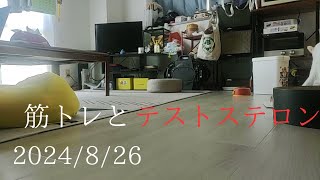 【筋トレ】【テストステロン】おっさんが筋トレしながら本についてほざく [upl. by Pomfret]