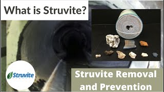 What is Struvite Struvite Removal and Prevention [upl. by Lever]