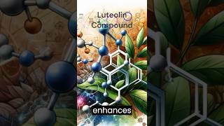 Luteolin Flavonoid Powerhouse 💪 Luteolin HealthyLiving healthyfood healthy wellness trending [upl. by Snilloc]