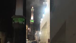 Locusts Plague Mecca Grand Mosque [upl. by Accebor]